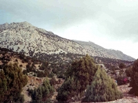 AK9712135