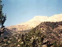AK9681711