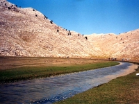 AK9681714