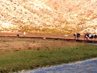 AK96817141