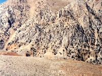 AK9681717
