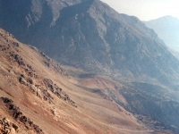 AK9681823