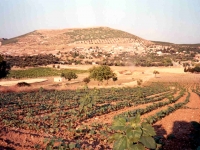 ALA9606203ALIAGASAMURLUYARE