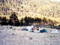 ALA96062621SOGUKPINAR