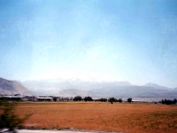 ALA960628ERCIYES