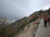 DSC07460
