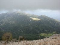 DSC07475