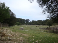 DSC07517