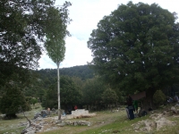 DSC07518