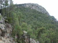 DSC07530