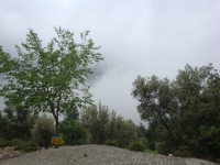 DSC07536