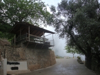 DSC07537