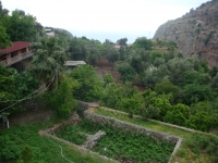 DSC07544