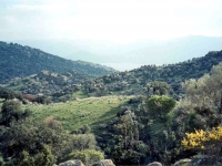BAF9632313
