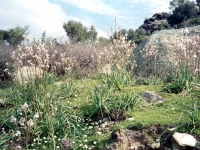 BAF9632422
