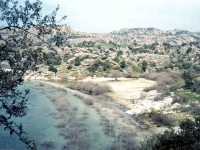BAF9632423