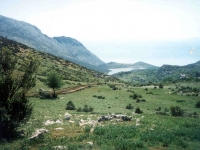 BAR01051918