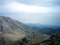 BAR01051926DAVRAZ