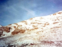 BAR97112222