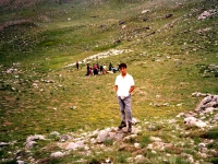 BOL957216