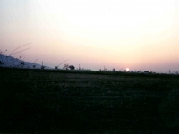 BOZ944311