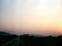 BOZ944312