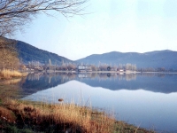 BOZ944314