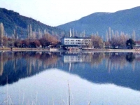 BOZ9443141