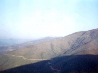 BOZ944315