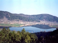BOZ944316