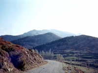 BOZ944318