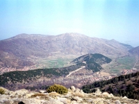 BOZ944320