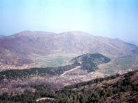 BOZ944321