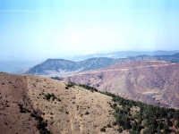 BOZ944322