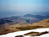 BOZ944329