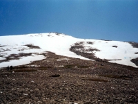 BOZ944330