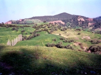 BOZ944341