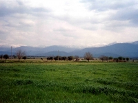 BOZ9532512