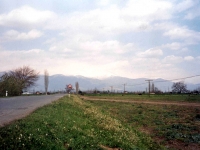 BOZ9532514