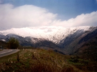 BOZ9532515
