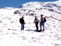BOZ9532522