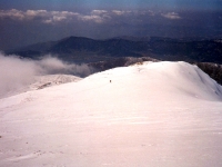 BOZ9532525