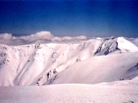 BOZ9532527
