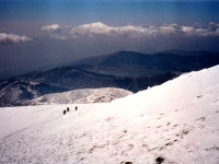 BOZ9532530