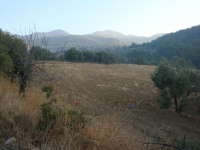DSC07857