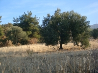 DSC07862