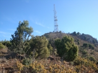DSC07881