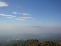 DSC07886