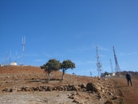 DSC07892