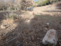 DSC07904